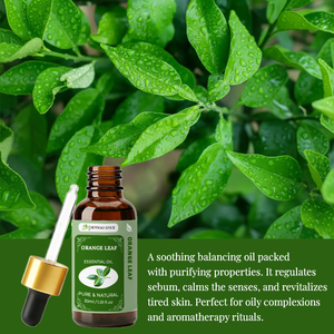 น้ำมันเปติตเกรนออร์แกนิก ผู้จัดจำหน่ายเพื่อการส่งออก รับผลิตแบบ OEM น้ำมันหอมระเหยบริสุทธิ์จากธรรมชาติ โรงงานผลิตน้ำมันหอมระเหยแบบขายส่ง สำหรับน้ำหอม เทียน สบู่ ผลิตภัณฑ์ดูแลผิว ผม และร่างกาย - Product Image 4