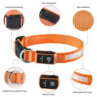 Collier LED rechargeable par USB pour chien, étanche, lumineux, réglable, pour la sécurité des promenades nocturnes des chiens de petite et moyenne taille