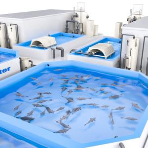 600 m3 agriculture Intensive de poissons Ras Tilapia pour ferme de poissons d'étang terrestre au bangladesh - Product Image 6