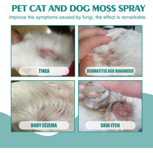 Spray apaisant doux pour la peau des animaux <span class=keywords><strong>de</strong></span> compagnie avec PVC pour l'entretien quotidien <span class=keywords><strong>de</strong></span> la peau des chiens et des chats dans la <span class=keywords><strong>salle</strong></span> <span class=keywords><strong>de</strong></span> <span class=keywords><strong>bain</strong></span> - Product Image 3