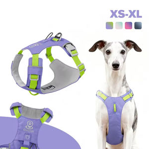 Harnais pour chien personnalisé avec logo, gilet de poitrine pour animaux de compagnie, imperméable, séchage rapide, léger, pour chiens de petite et moyenne taille - Product Image 4