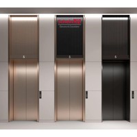 Ascenseur de passagers haut de gamme en acier inoxydable 304, traction sans engrenages, cabine finition miroir, design classique moderne, ScheinLift