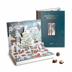 Scatole di imballaggio regalo di Design di vendita calda calendario dell'avvento in stile libro personalizzato calendario dell'avvento al cioccolato