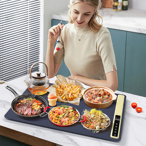 Bandeja Calentadora de Alimentos Plegable de Silicona Novedad 2026, Bandeja Eléctrica de Silicona para Calentar Comida con Temperatura Ajustable - Product Image 2