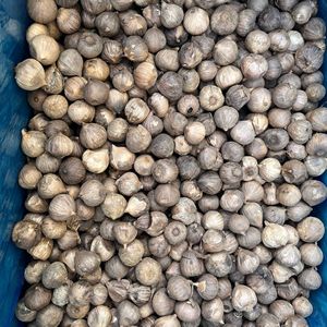 <span class=keywords><strong>Ail</strong></span> <span class=keywords><strong>noir</strong></span> fermenté vieilli à bulbe unique, prix usine de gros, approvisionnement en vrac, fabricant d'aliments sains, export 2026 - Product Image 2
