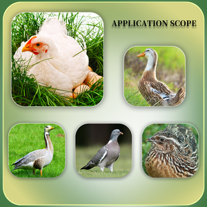 Tăng cường đẻ trứng tăng cường vitamin trứng tăng cường lớp Thức ăn vitamin tổng hợp GÀ ĐẺ TRỨNG - Product Image 2