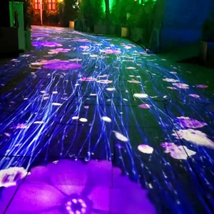 Sistema de Proyección Interactiva Digital para Pisos, para Juegos Multimedia, Centros Comerciales, Museos, Escuelas y Zonas de Juego - Product Image 1