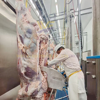 Mini Abattoir Équipement d'Abattoir pour Bovins Machine d'Abattage pour Vache Équipement d'Abattage pour Boucher