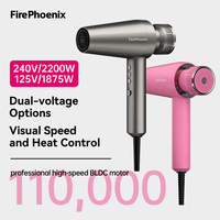 Sèche-cheveux ionique à lumière visuelle FirePhoenix M2 double tension 100V-240V 110000RPM avec indicateur rouge et bleu, outil professionnel pour salon et hôtel