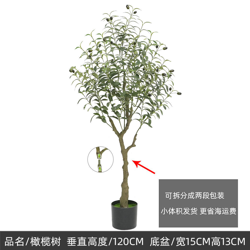 120cm olivier B type