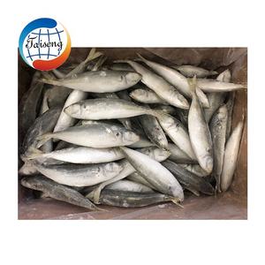 Pescado Congelado Taiseng a Bajo Precio, Cola Amarilla Entera, Tamaño 8-10, 10-12 piezas/kg - Product Image 6