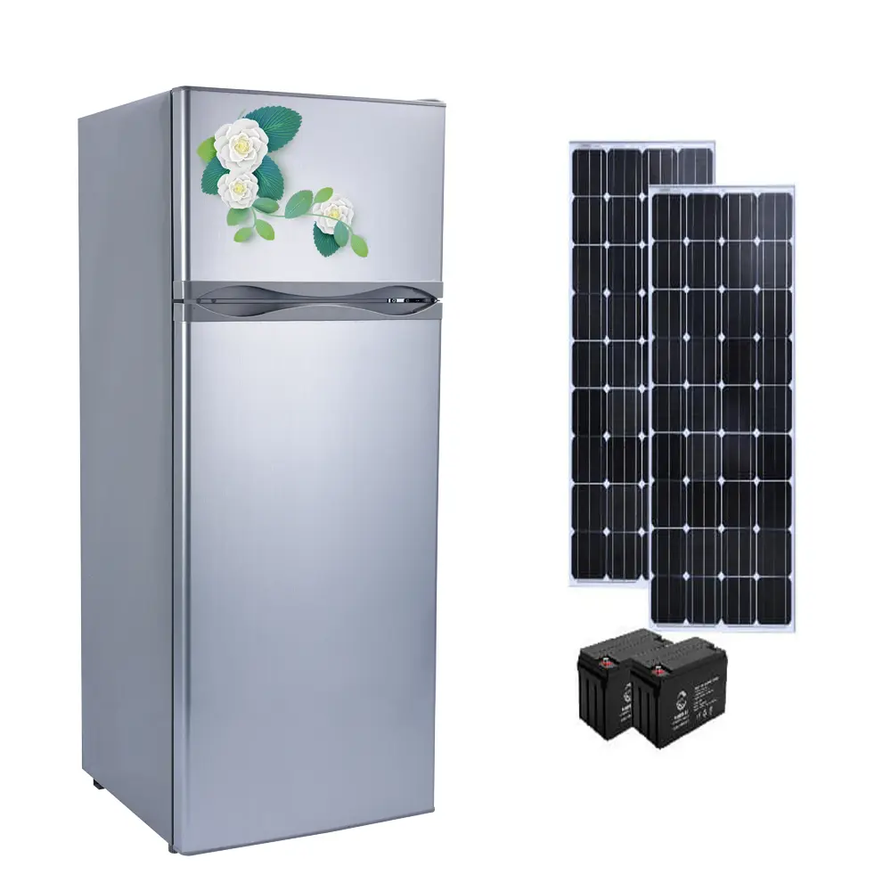 Réfrigérateur vertical 218L Double porte haute qualité fonctionne à énergie solaire réfrigérateur cc appareil fiable pour hors réseau
