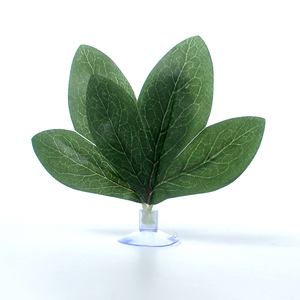 Drh Hot Sale Vechten Vis Paaien Blad Met Zuignappen Waterplant Voederen Blad <span class=keywords><strong>Aquarium</strong></span> Aquascape Decoratie - Product Image 3