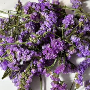 Fleurs de Statice Séchées à l'Air en Gros 1kg, Pétales 100% Naturels, Bourgeons de Fleurs, Limonium Véritable, Myosotis, Bohème, Fête des Mères - Product Image 6