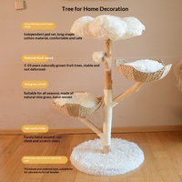 Arbre à chat tout-en-un en bois massif naturel et rotin sisal, design peu encombrant, avec boîte amovible et lavable