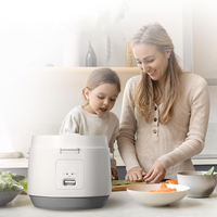 Cuiseur à riz à micro-ondes portable personnalisable avec doublure en acier inoxydable palette d'appareils de cuisine électroniques multifonctions