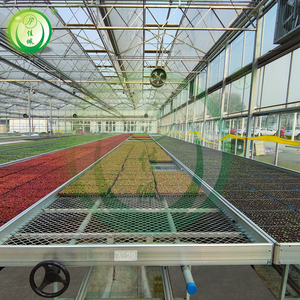 Cdjp Kinh Tế mạ kẽm dây lưới giường Hoa <span class=keywords><strong>Net</strong></span> seeding giường nhà kính băng ghế dự bị phát triển bảng cho bán buôn - Product Image 4