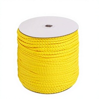 Cordon tressé synthétique PA PP jaune de 1/4 pouce de diamètre, 500 pieds de long, pour jeux de la corde, attaches de fixation, et besoins de quincaillerie pour l'amélioration de la maison