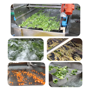 Planta Procesadora de Frutas y Verduras con Lavado por Vórtice, de Acero Inoxidable 304 Ligero, 220/380V, 1 Año de Garantía - Product Image 2