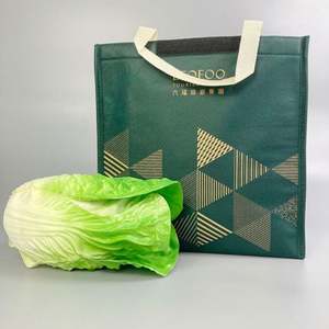 Bolsa enfriadora de leche materna, venta al por mayor, bolsa enfriadora de pasteles personalizada, bolsa enfriadora no tejida - Product Image 5