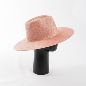 2024 <span class=keywords><strong>verano</strong></span> Venta caliente Deluxe <span class=keywords><strong>Sombrero</strong></span> de paja natural Sombreros de ala ancha <span class=keywords><strong>Fedora</strong></span> ala grande Panamá <span class=keywords><strong>sombrero</strong></span> mujeres hombres Playa Sol <span class=keywords><strong>sombrero</strong></span> - Product Image 4