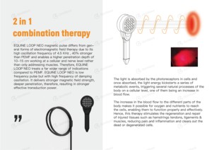 เครื่องบำบัดด้วยเลเซอร์แบบแม่เหล็ก635nm นีโอห่วงแบบเต็มรูปแบบเครื่องกายภาพบำบัดบำบัดม้าม้าแบบมาตรฐานใหม่ - Product Image 4