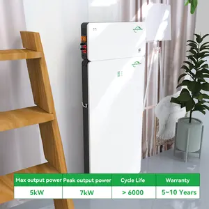 New Arrival LiFePO4 Battery 5kwh 10Kwh Home Power Storage Battery Hybrid Solar Energy System