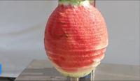 Direct Selling Wax Kalebas Peeling Machine Fruit En Groente Schilmachine Butternut Squash Dunschiller Machine