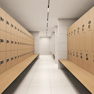 Armoires de rangement de bagages en grain de bois au design moderne Casiers en HPL pour vestiaires de bowling de football avec serrure et banc - Product Image 3