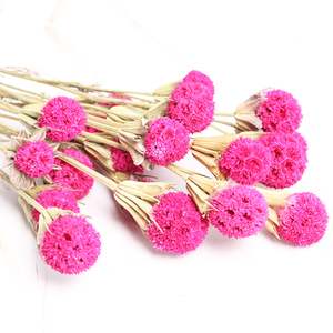 Lulutong ventes directes nouveau Style chinois bricolage Arrangement de fleurs matériaux <span class=keywords><strong>Bouquet</strong></span> de fleurs séchées pour la fête des mères - Product Image 4