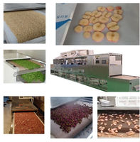 Droogzout Tunnel Magnetron Sterilisator Machine