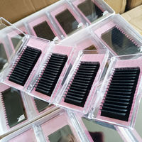 Plateaux de cils de volume noir mat personnalisés Fournitures d'extension de cils en cachemire 0.03 0.05 CC DD Extensions de cils individuelles
