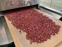 Séchoir tunnel automatique à micro-ondes Flysun en acier inoxydable 304 avec bande transporteuse pour la stérilisation et le séchage des aliments de haute performance