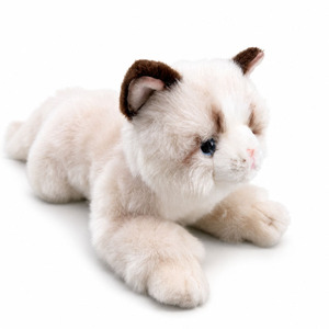 Produttore di Giocattoli OEM Realistici a Forma di Gatto Ragdoll con Pelo Corto, Fornitore All'Ingrosso di Animali di Peluche con Logo Personalizzato ed Etichetta Privata - Product Image 1