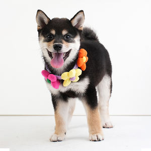 Kerah hewan peliharaan, aksesori hewan peliharaan Modern dapat disesuaikan kerah anjing dan kucing dengan bunga yang indah - Product Image 4