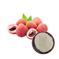 Poudre lyophilisée de poudre de jus de fruit de litchi organique naturel de Beverage100 % fonctionnel