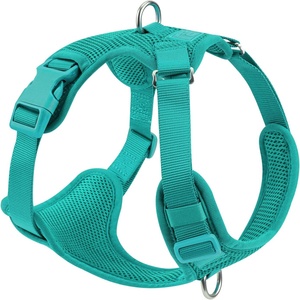 Harnais pour chien en néoprène réglable, ensemble harnais et laisse pour chien, harnais pour chien personnalisé - Product Image 1