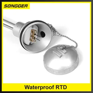 Waterproof High-Precision RTD PT100 Digital <strong>Temperature</strong> Transmitter 4-20mA <strong>Output</strong> Integrated Industrial <strong>Sensor</strong> Stainless OEM - Product Image 2