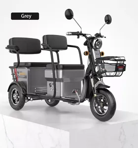 60V 20AH Electric Passenger Tricycle Three Wheel Scooter Passenger Electric Tricycle Bike 3 Wheel