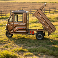 Tricycle de transport de bétail pour le transport de marchandises avec certificat EEC COC CE, moteur 1500w, polyvalent et adaptable à divers scénarios européens