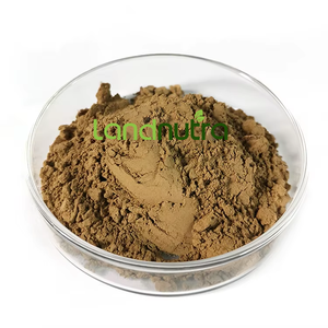 ผงสกัดจากราก Polygonum multiforum ผง HE <span class=keywords><strong>Shou</strong></span> <span class=keywords><strong>Wu</strong></span> จำนวนมาก - Product Image 1