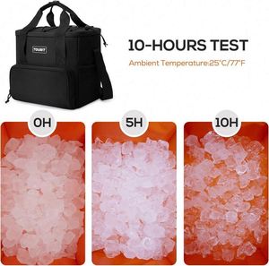 Free Sample Travel Kits <b>Medical</b> Cooler Epipen Case Insulin Travel Cooler <b>Bag</b> - Product Image 6