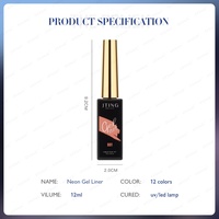 JTING Gel Polish Liner Néon 12 Couleurs Très Populaire, Série Néon, OEM ODM Personnalisation Gratuite, Flacon et Boîte de 12ml