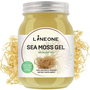 Dengan 92 Gel pelapis timah alami dari mineral dan pertahanan kekebalan vitamin pencernaan Gel lumut laut organik rasa nanas