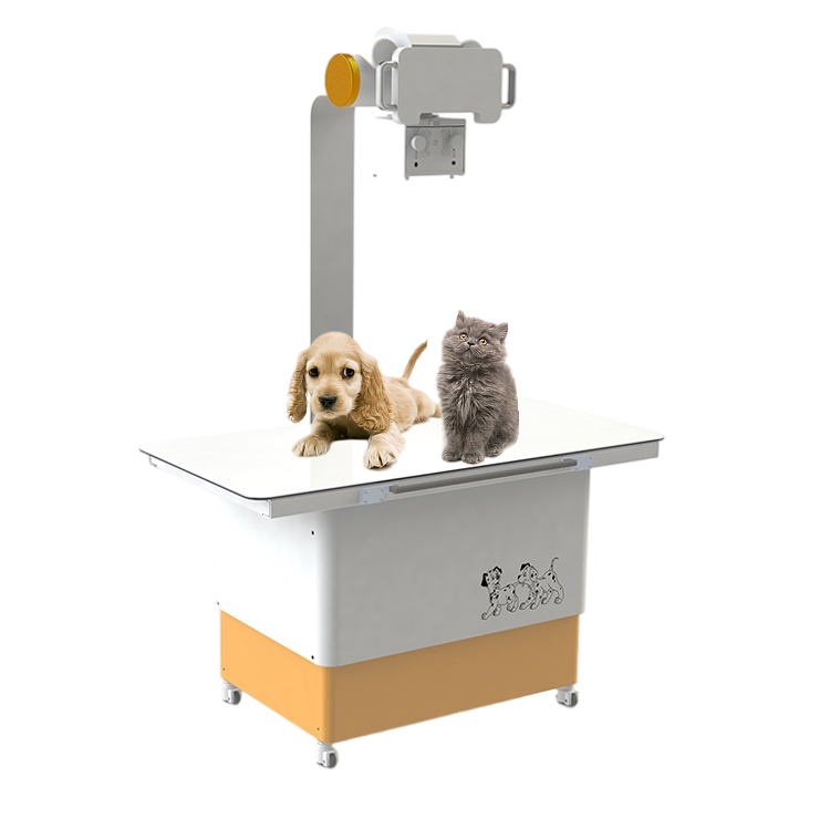 Equipos de Rayos X Médicos de Alta Frecuencia Columna Doble Fija 20kW Máquina de Rayos X para Animales Veterinarios