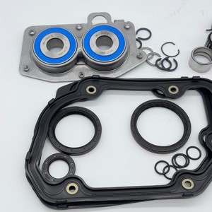 Kit <span class=keywords><strong>de</strong></span> Reparación <span class=keywords><strong>de</strong></span> <span class=keywords><strong>Caja</strong></span> <span class=keywords><strong>de</strong></span> <span class=keywords><strong>Cambios</strong></span> 462005510 02T311206 02T311206C 02T311206E 02T311206F 02T311206H 02T311206J - Product Image 3