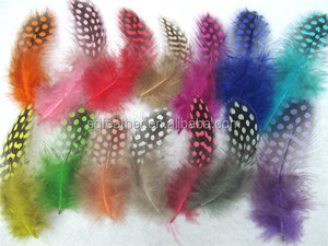 Plumas <span class=keywords><strong>de</strong></span> <span class=keywords><strong>Gallina</strong></span> <span class=keywords><strong>de</strong></span> <span class=keywords><strong>Guinea</strong></span> Pequeñas Teñidas <span class=keywords><strong>de</strong></span> 1-3 Pulgadas, Coloridas, Personalizadas, <span class=keywords><strong>de</strong></span> Excelente Calidad y <span class=keywords><strong>Precio</strong></span> Razonable, <span class=keywords><strong>de</strong></span> Fábrica Líder en Plumas, en Venta - Product Image 5