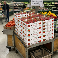 Plateau de transport en carton ondulé à 8 compartiments pour baies, avec poignée, logo personnalisé, directement de l'usine, pour ferme de fraises