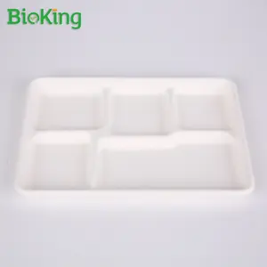 BioKing Sugarcane Bagasse Pulp Biodegradable And Compostable Disposable Rectangle Tray