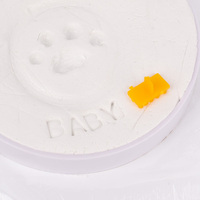 Kit de moule en argile pour chien et chat, avec lettre, souvenir
